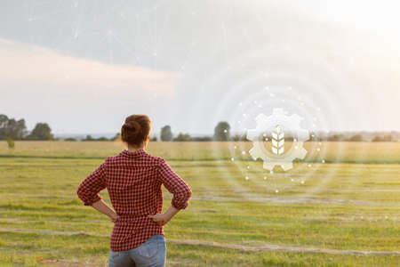 The concept of innovation in harvesting in the agricultural sector.