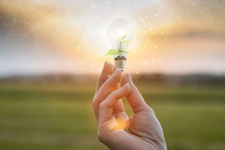 Natural electricity concept. The hand shows a light bulb with a sprout against the background of the...