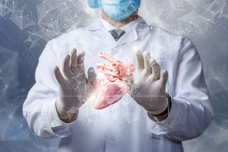 Doctor show donor heart on the background of network connections.の写真素材