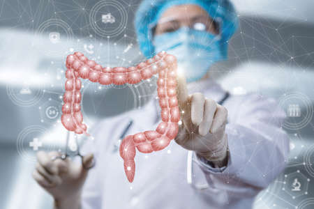 Patient intestine study concept.の写真素材