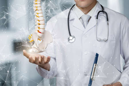Spine treatment concept. Doctor shows the spine on a blurred background.の写真素材