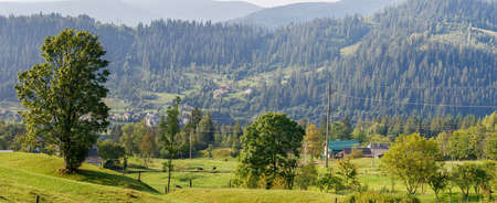 Panorama of the village in the forest against the background of mountains.の写真素材