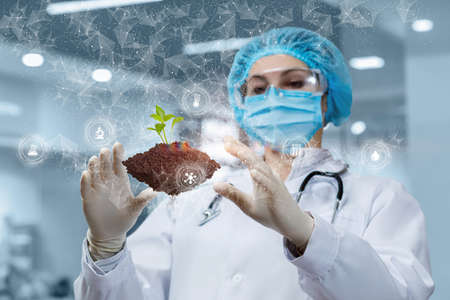 A laboratory assistant manipulates a sprout sample on a blurred background.の写真素材