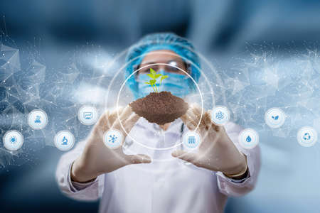 Laboratory research concept with plants. The doctor manipulates the sprout on a blurred background.