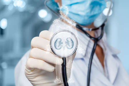 Patient kidney diagnosis and treatment concept. The doctor listens to the kidneys.