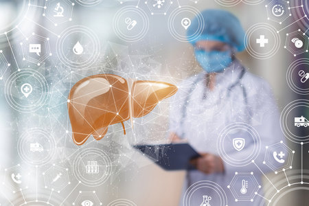 Patient liver and doctor on blurred background.の写真素材