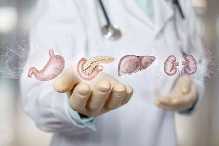 Doctor shows sketches of internal organs on a blurred background.の写真素材