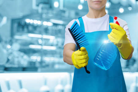 A cleaning lady shows a spray with a cleaning agent and a brush on a blurred background.の写真素材