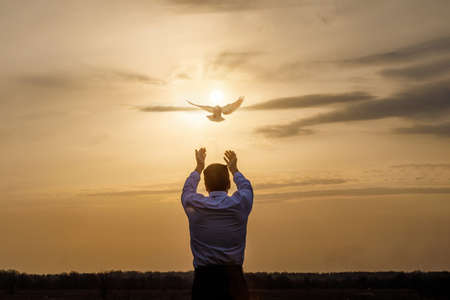 Business hope concept. Businessman stretches out his hands to the flying dove.