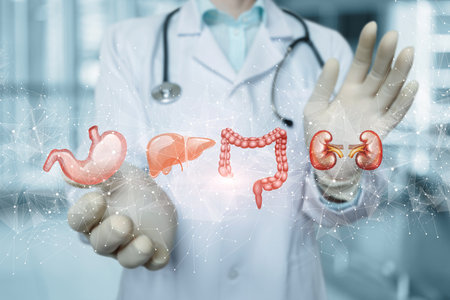 Concept of diagnosis and treatment of internal organs of the patient.の写真素材