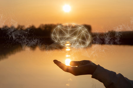 Hand supports the geometric shape of the brain against the background of a sunny sunset.の写真素材