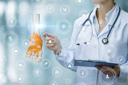 Doctor examines the ankle joint on a virtual computer screen.