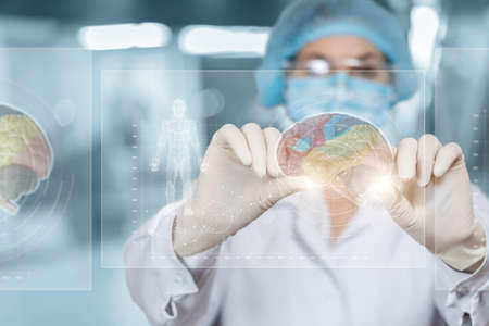 Doctor works with interface on virtual computer with brain functions.