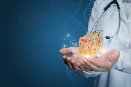 Doctor dermatologist shows a piece of skin on a blue background.の写真素材