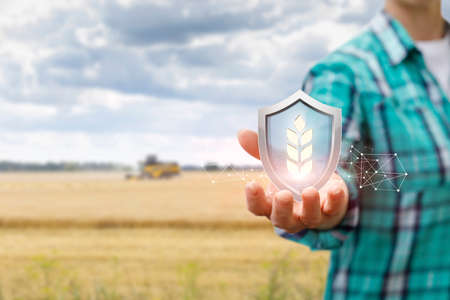 Harvest protection concept by farmers. Farmer shows a shield with an ear on the background of an agricultural field.の写真素材
