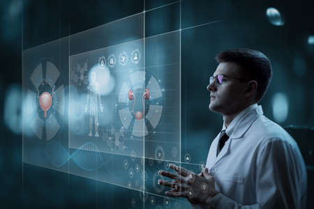Young medical specialist examines the urinary system on a virtual computer screen.の写真素材