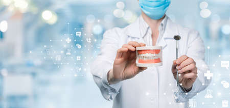 The concept of diagnosis and treatment of dental disease and gums.の写真素材