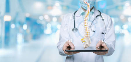 Doctor showing spine on digital tablet and virtual screen.