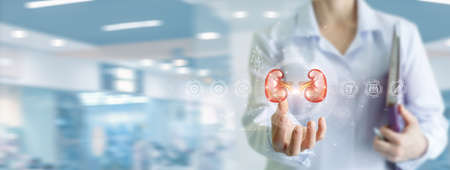 The concept of modern diagnosis and treatment of kidney disease.