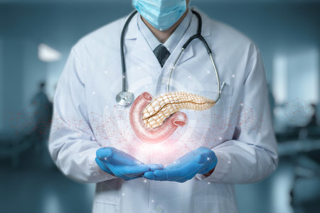 Doctor shows the pancreas on a blurred background in the hospital.の写真素材