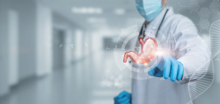 The concept of treatment of the digestive system with the help of modern technologies.の写真素材