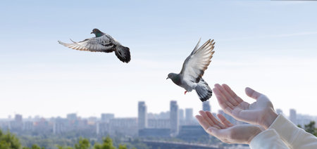The concept of a prayer of hope in the form of flying doves on the background of the city.の写真素材