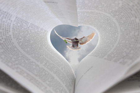 Concept of peace and love. A dove flies in peace holding a sprout in its beak against the sky with love.の写真素材