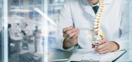 The doctor conducts a consultation and shows the spine on a blurred background.