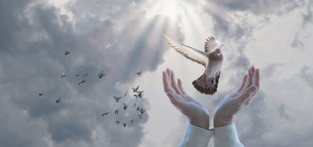 A dove flies in the hands against the background of the sky and the sun.の写真素材