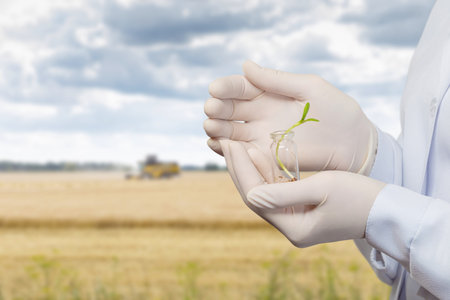The microbiologist protects with gestures the cultivation of a crop on the background of an...