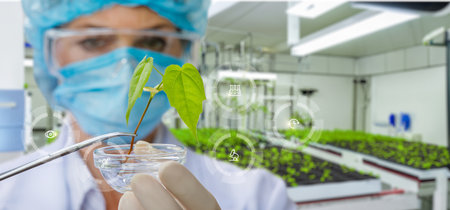 The laboratory assistant examines a prototype plant on a blurred laboratory background.の写真素材