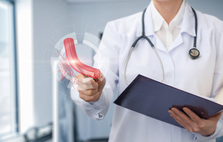 The doctor shows the anatomy of blood vessels on a blurred background.の写真素材