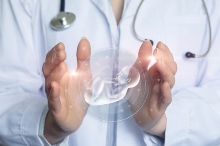 The hands of a supporting doctor an embryo on a blurred background.の写真素材