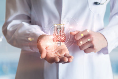 Doctor shows the anatomy of the thyroid gland in his hand against a blurred background.の写真素材