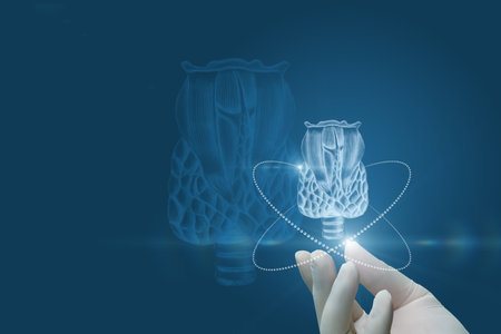 The hand in the rubber glove shows the thyroid gland on a blue background.の写真素材