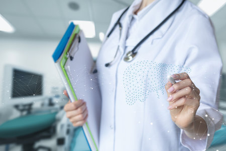 Doctor draws a liver on a blurred background.の写真素材