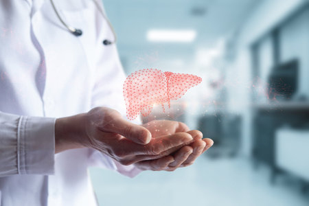 The doctor supports the geometric liver. The concept of modern technologies in the treatment of liver diseases.の写真素材