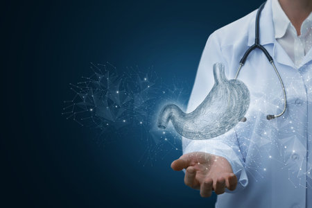 Digital diagnostics of the stomach. Modern technologies in gastroenterology, innovative methods of diagnostics and visualization of internal organs.の写真素材
