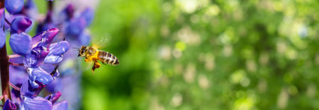 Pollination and the labor of bees. The importance of bees in the ecosystem their role in plant...