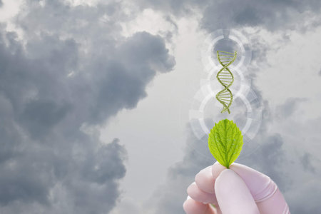 Genetic engineering and nature. The idea of combining biotechnology and nature.の写真素材