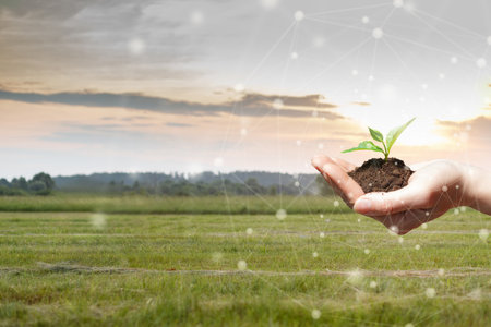 In a serene countryside, sunlight filters through clouds as a hand cradles a small plant in soil, symbolizing growth and care for the environment amidst nature's beauty.の写真素材