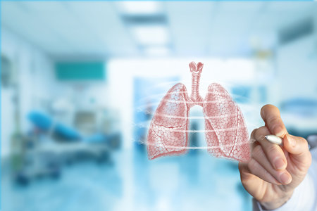 A doctor is engaged in an examination of lungs using a digital representation. This takes place in a well-equipped medical environment, highlighting advanced technology and patient care.の写真素材