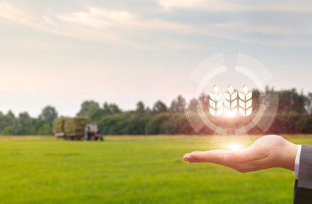 A person holds a holographic display of wheat while standing in a vast green field. In the background, a tractor transports hay bales under a cloudy sky during daytime.の写真素材