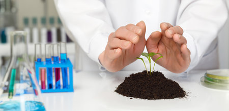 Hands protect a young plant emerging from soil, symbolizing the blend of biotechnology and environmental care. This research aims to ensure a sustainable future for generations ahead.の写真素材