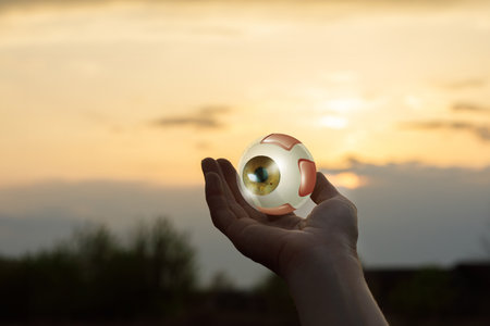 A hand holds a spherical eye against the backdrop of a vibrant sunset. The sun sets on the horizon, casting warm hues across the sky and illuminating the eye's surface.の写真素材