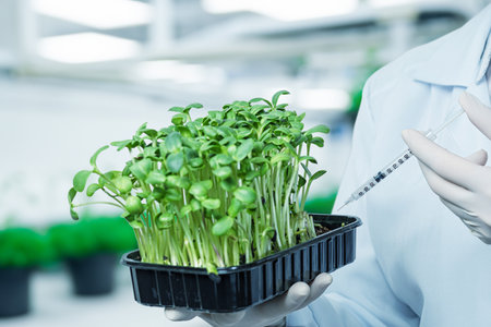 A person in a lab coat holds a tray of young seedlings in a controlled environment. The individual...