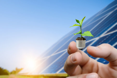 Innovative growth in sustainable energy practices. A hand holds a mini plant in a light bulb...