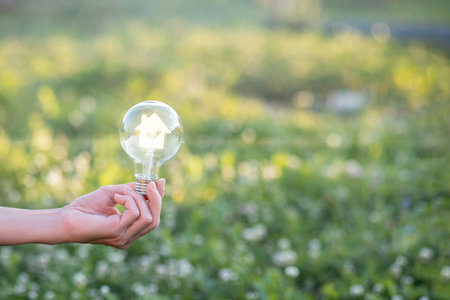 Innovative light bulb shines bright amidst nature. A hand holds a glowing light bulb in a vibrant green field showcasing eco friendly ideas.の写真素材