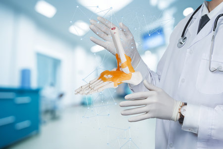 Hand anatomy in medicine. A doctor demonstrates hand anatomy using a digital model in a clinic setting.の写真素材