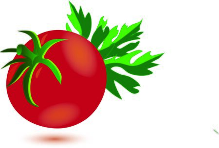 tomato with herbsのイラスト素材